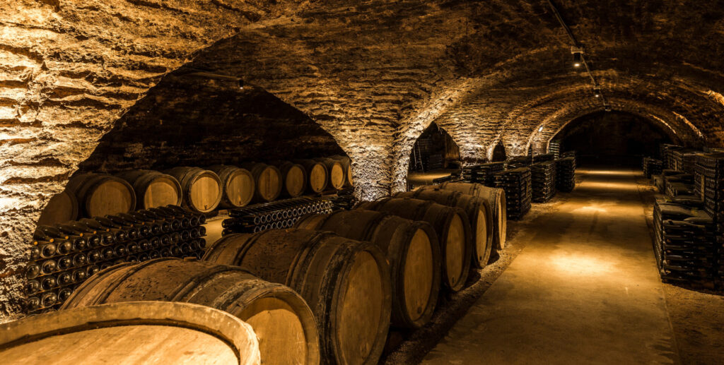 Stara piwnica z butelkami i beczkami pod zamku produkcji wina
