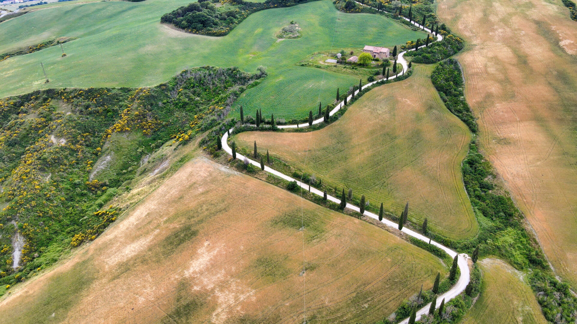 Famous cypress hill of Monticchiello, Tuscany. Aerial view from drone in spring season.