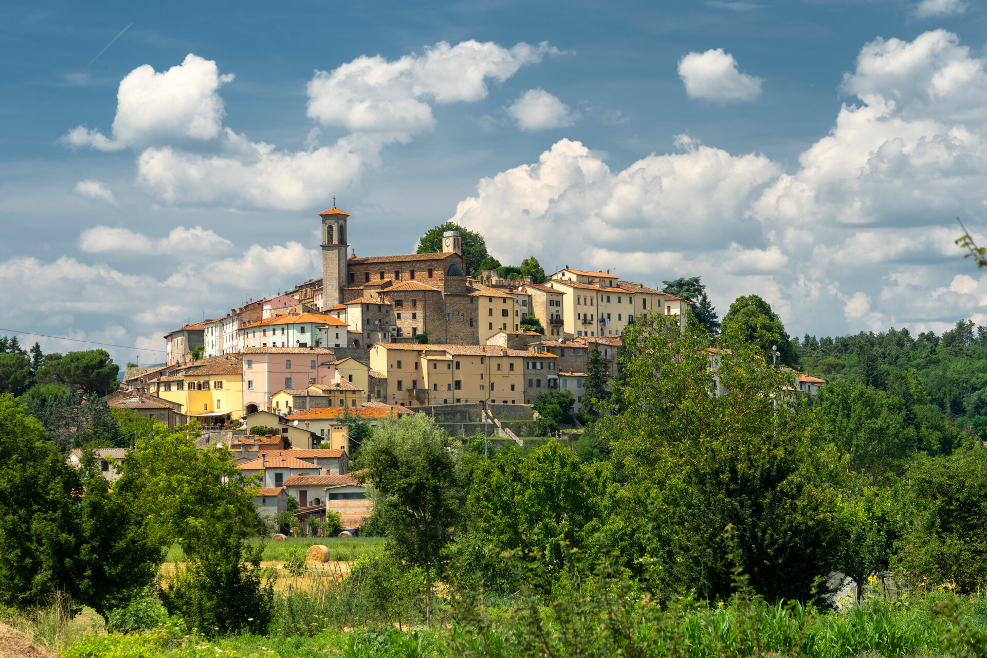 Summer landscape near Monterchi, Arezzo, Tuscany, Italy