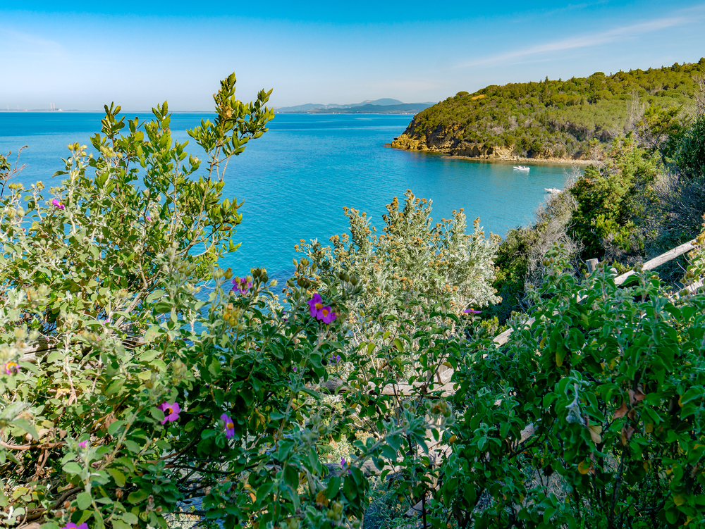 Panorama nadmorska na Zatokę Follonica z drogi na plażę Cala Violina Scarlino Toskania Włochy