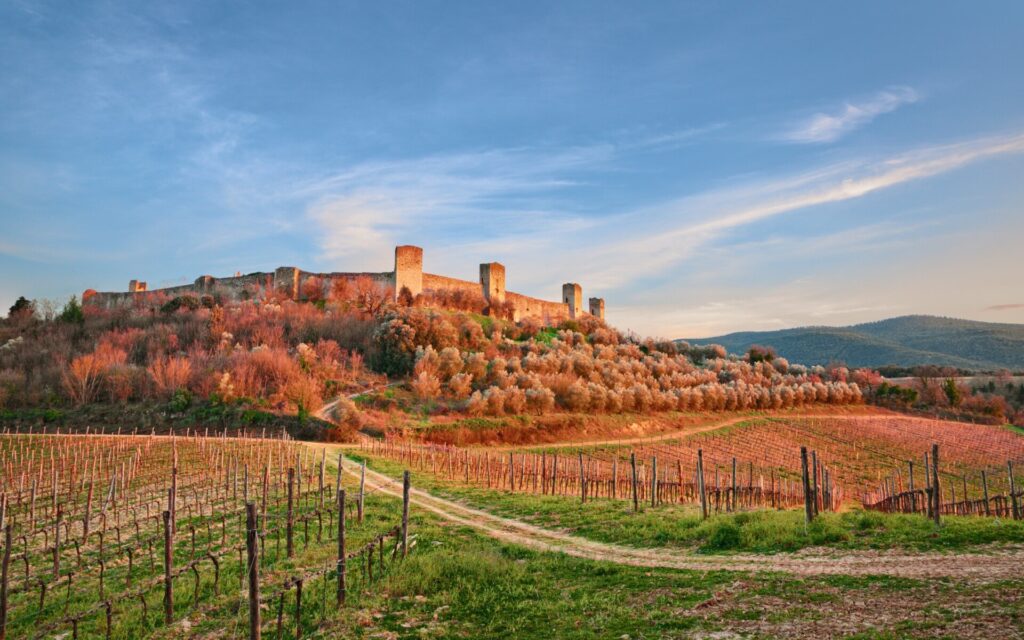 Monteriggioni, Siena, Tuscany, Italy: landscape at sunset of the ancient village along the Via Francigena with the medieval walls and the countryside with vineyards and olive trees