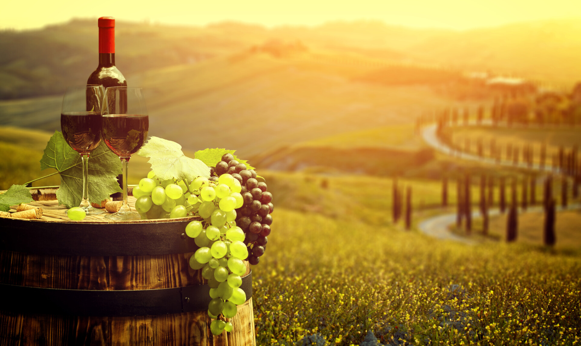 Czerwone wino z beczką na winnicy w zielonej Toskanii, Włochy