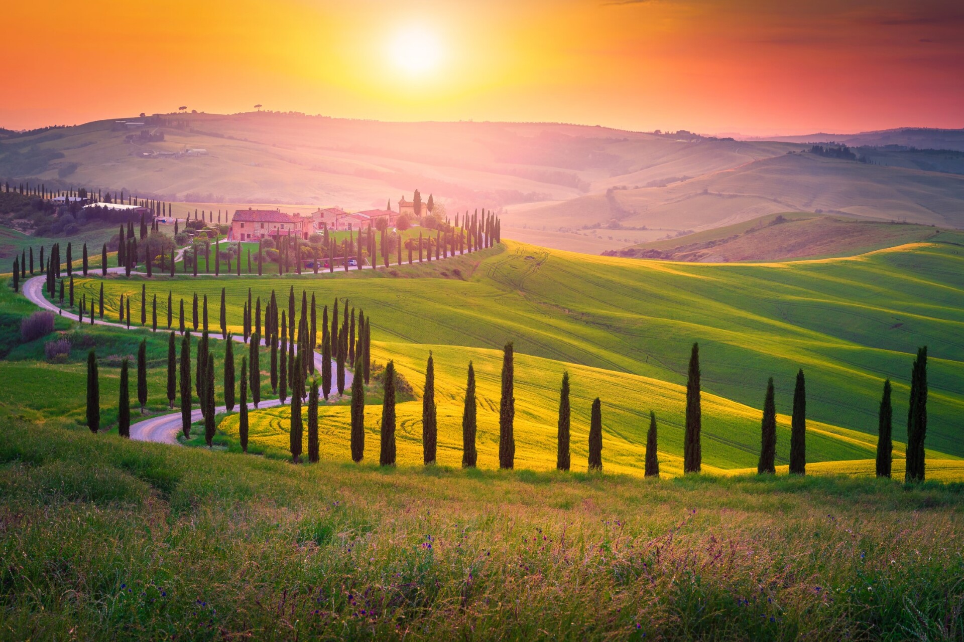 Toskania atrakcje, Znany krajobraz Toskanii z polami zbożowymi, cyprysami i domami na wzgórzach o zachodzie słońca. Letni krajobraz wiejski z zakrzywioną drogą w Toskanii, Włochy, Europa