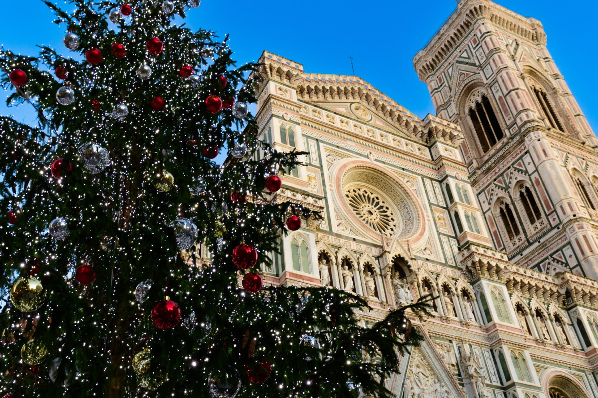 Florencja zimą, Christmas tree in Florence. Santa Maria del Fiore. Florence, Tuscany, Italy